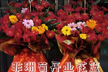 成都锦江区开业花篮